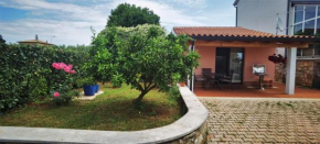 NORA home
